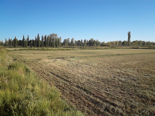 Imagen 5 de 10 de Venta O Permuta 25 Hectáres 25 De Mayo La Pampa