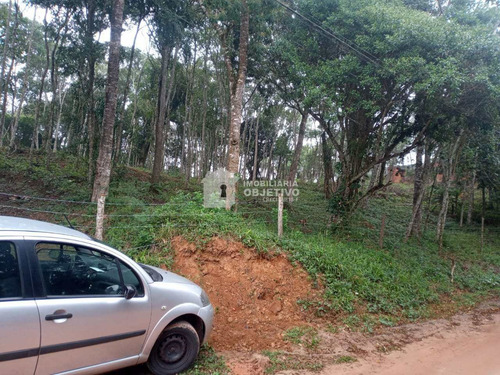 Imagem 19 de 25 de Terreno, Dos Neves (caucaia Do Alto), Cotia - R$ 75 Mil, Cod: 4255 - V4255