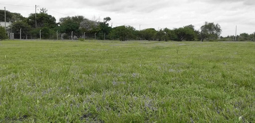 Imagen 13 de 13 de Galpón En Alquiler De 3000m2 Ubicado En Mi Granja