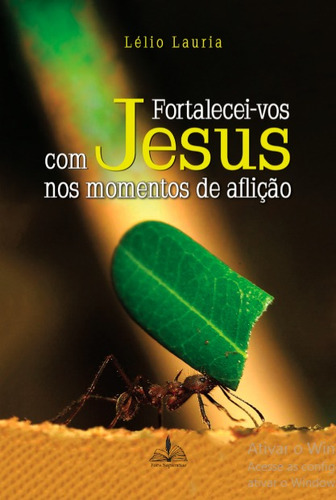 Fortalecei-vos com Jesus nos momentos de aflição, de Lauria, Lelio. Editora Distribuidora Loyola De Livros Ltda, capa mole em português, 2016