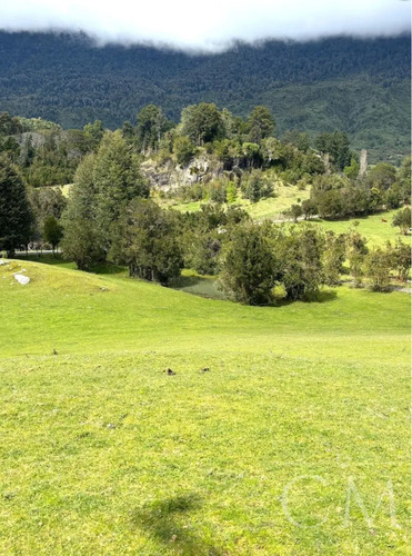 Hermoso Terreno En Sector Ilihue, Lago Ranco