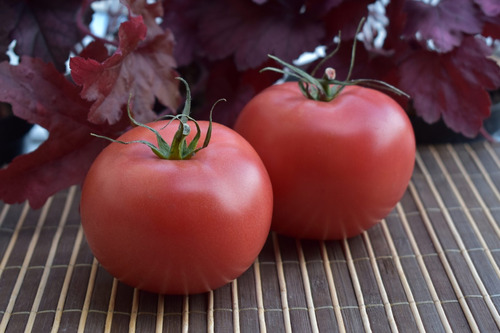 Sementes De Tomate Polones Maliniak - Delicioso E Exótico