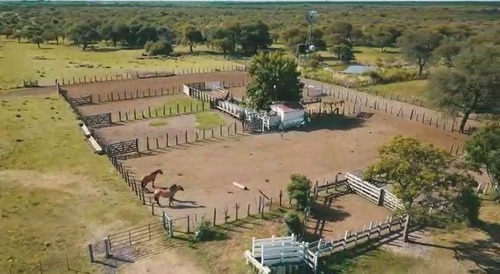 Imagen 12 de 15 de Campo Ganadero