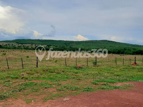 Imagem 11 de 11 de Rural Chacara Com 2 Quartos - 331-v