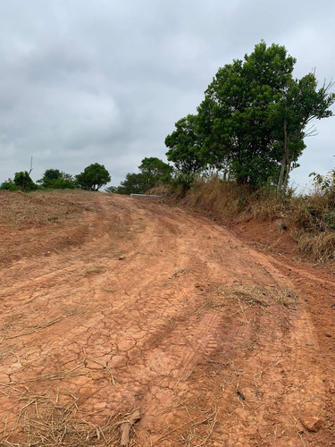 Imagem 16 de 21 de E12- Terrenos Com Playground