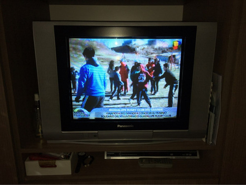 Tv 21 Plana Real Flat Panasonic Excelente Estado!