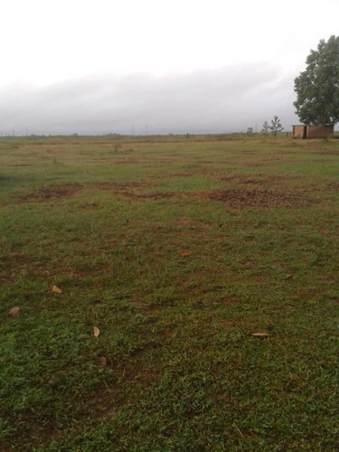 Imagen 10 de 10 de Se Vende Finca Vial Alsur Cerca Del Veladero Ve02-1313vs-myafar
