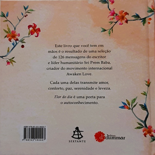 Flor Do Dia: Mensagens De Amor E Autoconhecimento, De Baba, Sri Prem. Editorial Gmt Editores Ltda., Tapa Mole En Português, 2016
