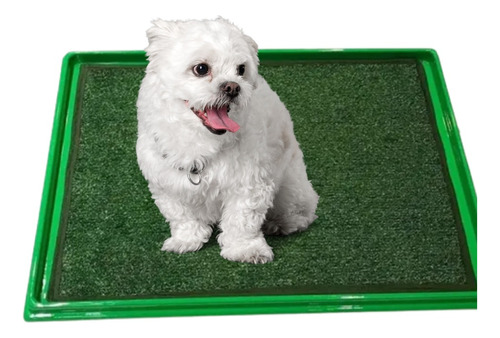 Bandeja Sanitaria Plastica Perros Higiene Paños Paño Pet S