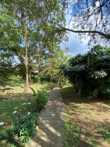 Felidia, 4.093 M2, Finca Campestre.