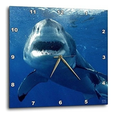 Dpp _ _ _ _ _ _ _ _ _ _ 10584  Kike Calvo Shark  Gran Tiburr