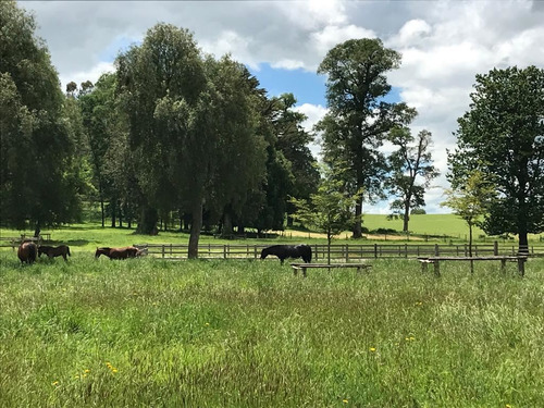 Sitio En Venta En Casma, Frutillar