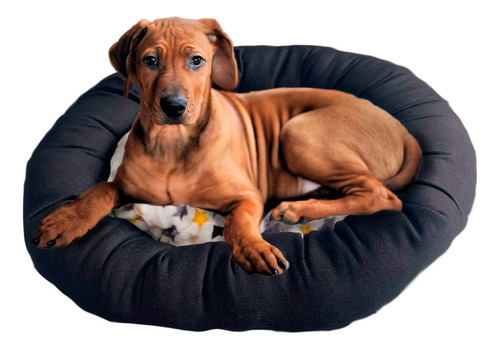 Cama Cucha Moises Perros. Variedad Modelos Aprovecha Ahora !