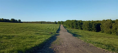 Parcelas En Liquidación Camino A San Fabian De Alico 5000m2