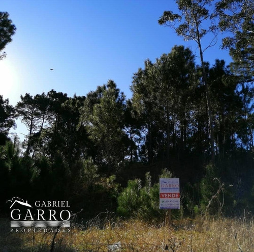 Imagen 1 de 1 de Oportunidad! Hermoso Lote En Venta En Pinamar
