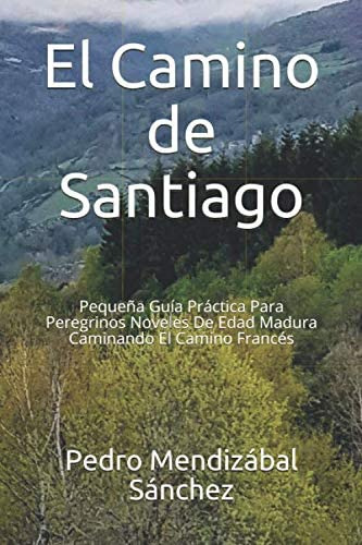Libro: El Camino De Santiago: Pequeña Guía Práctica Para Per
