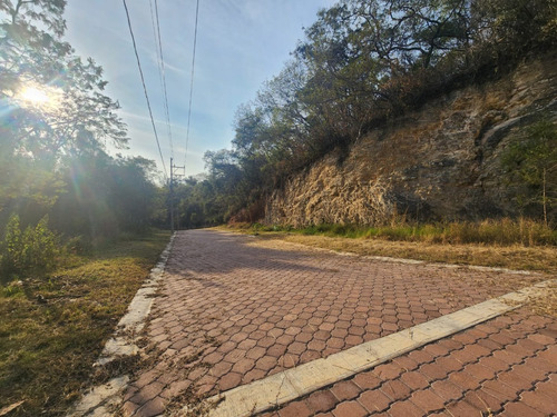 Venta Lote Gladiola 26 En Calle Privada Con Bonitas Vistas, Proyecto Incluído Y Con Todos Los Servicios En Fraccionamiento Rancho San Diego Ixtapan De La Sal Edomex