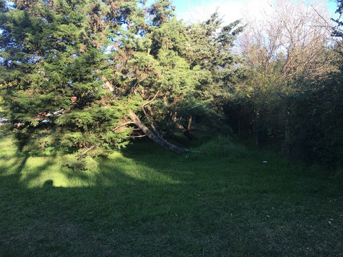 Imagen 3 de 5 de Venta De Amplio Lote, Ezeiza