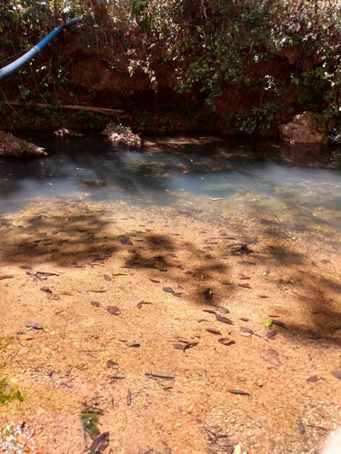 Imagem 11 de 14 de Vende-se Uma Linda Chácara,com Piscina E Rio Nos Fundos.