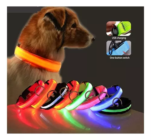 Collar Perro Luz  MercadoLibre 📦