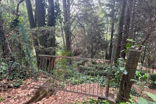 Imagen 20 de 25 de Terreno De 4,418 Metros En Venta En El Desierto De Los Leones
