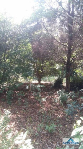 Imagem 6 de 7 de Chácara Residencial À Venda, Sítio Adriana, Caçapava. - Ch0045