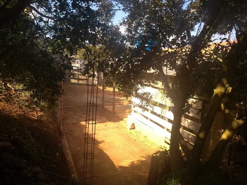 Imagem 10 de 15 de Chacara - Inacio Martins - Ref: 6030 - V-anp6030