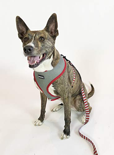 Arnés Reversible Para Mascotas Osu Scarlet Y Gray