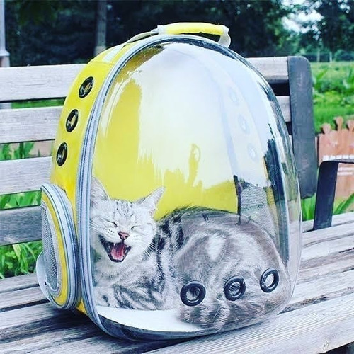 Mochila Transportadora Traslúcida Para Perros Y Gatos