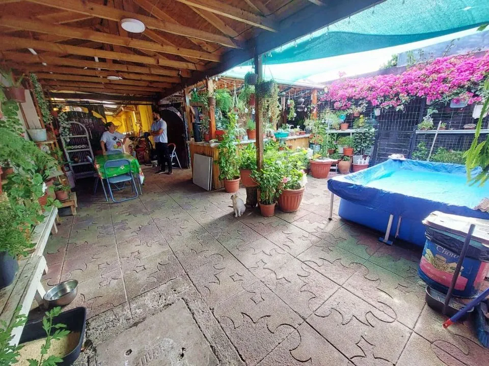 Imagen 2 de 18 de Casa En Venta En El Bosque - Esplendida