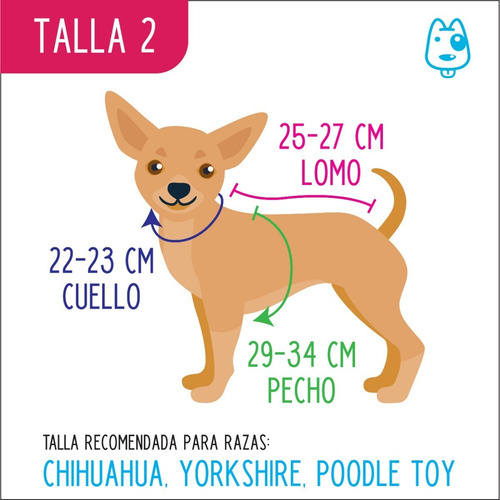 Colección Urbano Para Perrito Talla 2