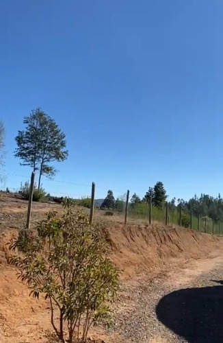 Terreno En Hualqui, Concepción
