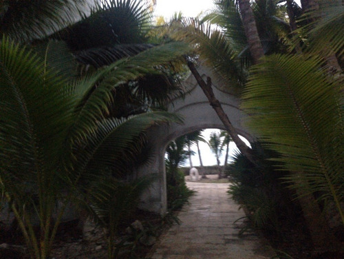 Imagen 9 de 18 de En Venta Terreno Comercial En Solidaridad Quintana Roo
