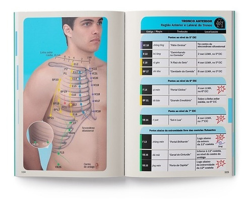 Kit 2 Livros Atlas De Pontos Por Região & Manual Direto Ao Ponto - Todos Os Pontos Da Cabeça Aos Pés E Os 361 Pontos Clássicos Ilustrativo- Por Paulo Renato Lima Editora Zen