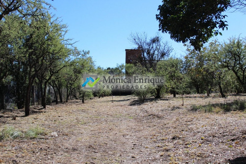 Lote De 1500m2 En Cerro De Oro, Sobre Calle Cuesta De La Granadilla