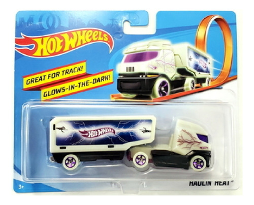 Hot Wheels Veiculo Track Stars Truck Sortido Da Mattel Bfm60