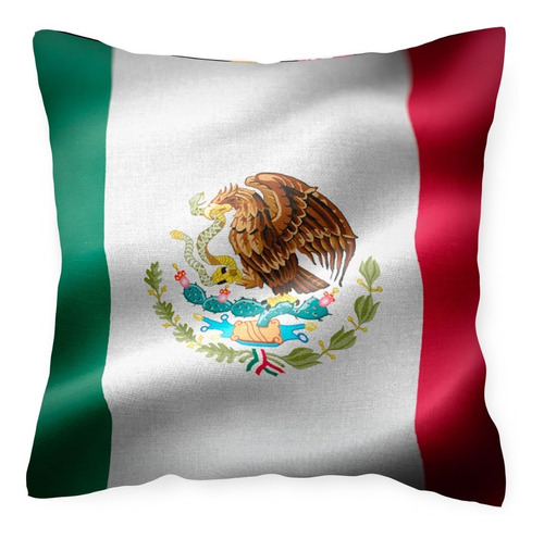 Cojín Arg Almohada Bandera Viva México 45x45