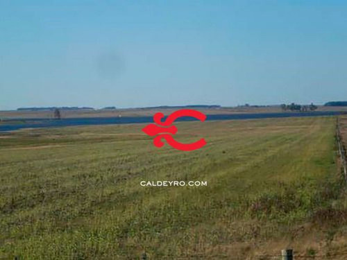 Campo Agrícola El Lago Ref. 1343