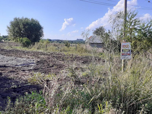 Terreno - Nueva Palmira
