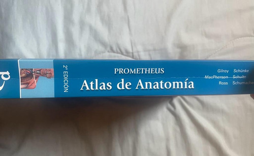 Atlas Anatomia Prometheus 2da Edicion (Usado)