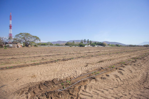 Venta De Terreno En Armeria, Colima