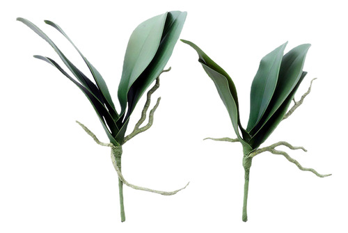 Hojas De Phalaenopsis Simuladas De Orquídea De Imitación, 2