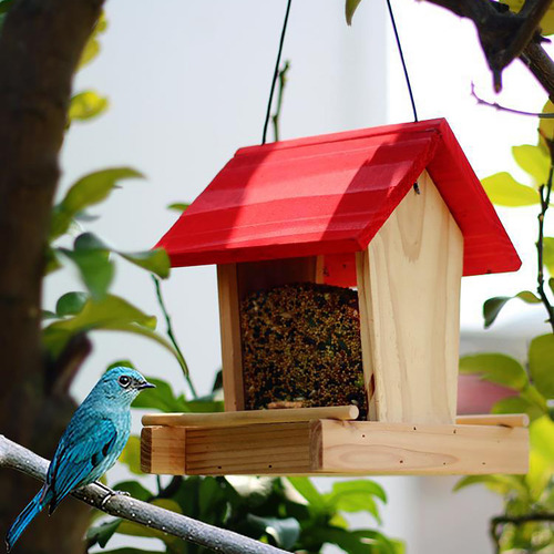 Un Comedero Para Pájaros Para Patio, Villa, Balcón, Colgante