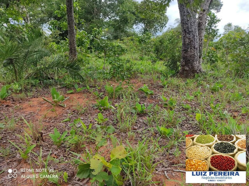 Imagem 4 de 15 de Fazenda Á Venda Em Cristalândia 503.36 Hectares (dupla Aptidão) - 1628