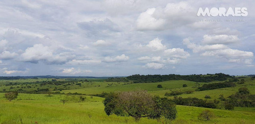 Imagem 25 de 26 de Fazenda Rural À Venda, Zona Rural, Garça. - Fa0003