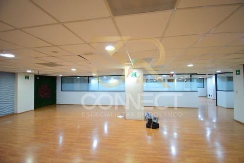 Oficina En Renta En Anzures - 24c/3b/1e - Excelente Ubicación - 870m2