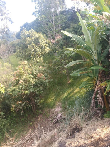 Imagem 20 de 20 de Chácara À Venda Em Mairiporã Sp - 0142 - 34968636