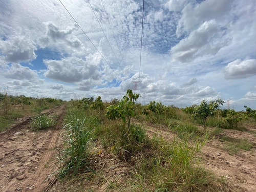 Terreno Agricola Campo Esperanza El Fuerte, Sinaloa