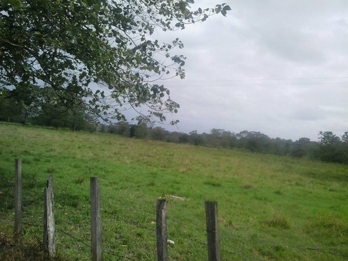 Imagen 5 de 22 de Finca Sector Caroní Estado Barinas En Venta