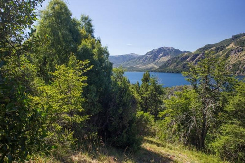 Imagen 8 de 9 de Fabienne Edelberg Fe Propiedades Venta 4 Hectareas En Lago Meliquina